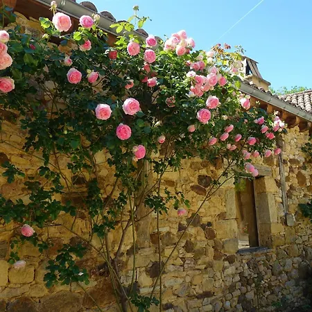 Holiday home Domaine De Cournet Haut, A 17th Century Set On A Calm, Idyllic Domain With Pool, Tennis, Bikes And *