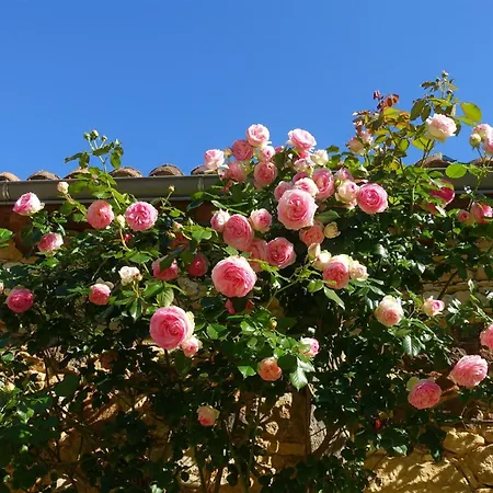 Domaine De Cournet Haut, A 17th Century Set On A Calm, Idyllic Domain With Pool, Tennis, Bikes And Holiday home