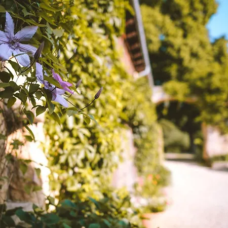 Holiday home Domaine De Cournet Haut, A 17th Century Set On A Calm, Idyllic Domain With Pool, Tennis, Bikes And *