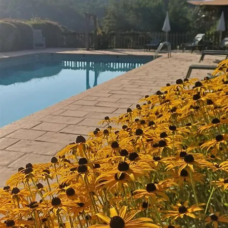 Domaine De Cournet Haut, A 17th Century Set On A Calm, Idyllic Domain With Pool, Tennis, Bikes And Prázdninový dům *